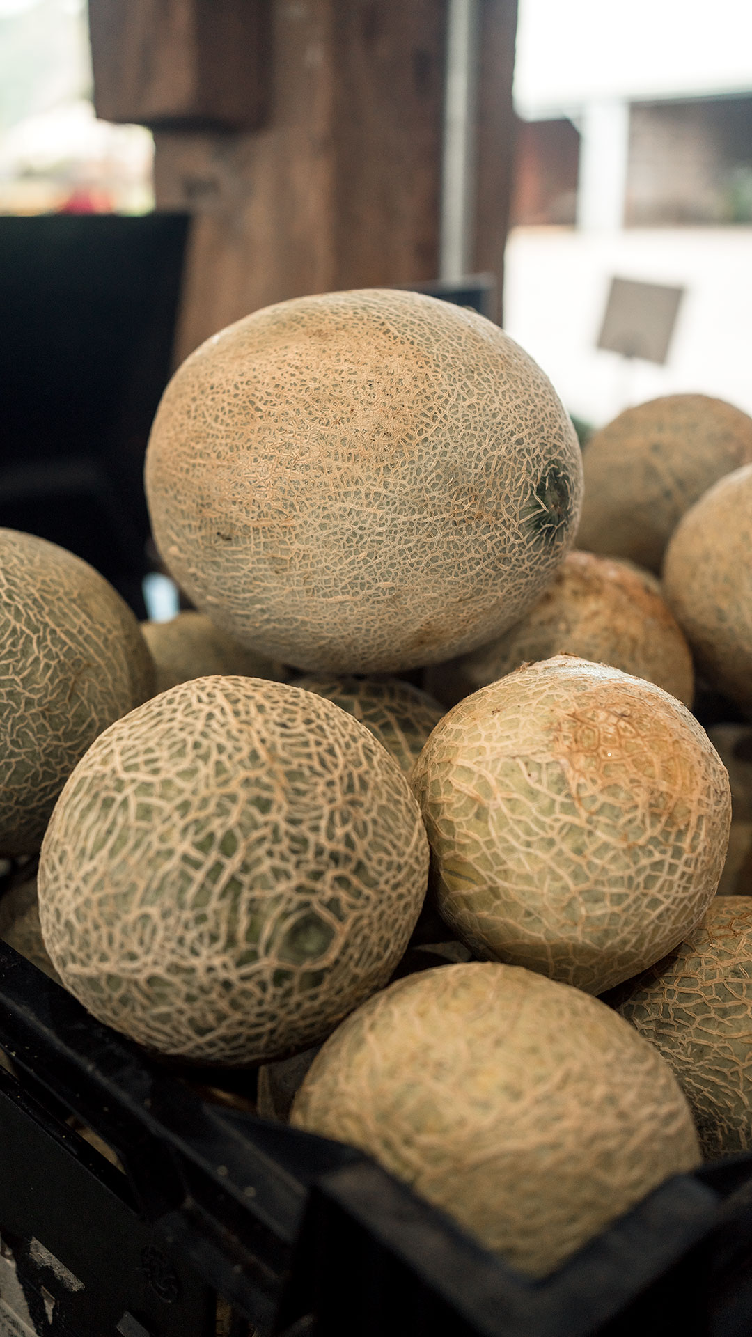 Cantaloupe display